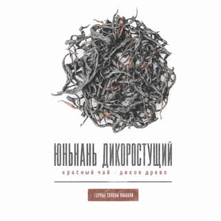 Серая тоска · 古树红茶