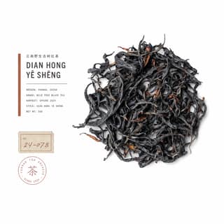Сырьё и архив · 古树红茶