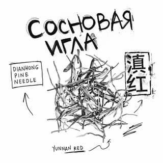 Сырой асфальт · 滇红松针