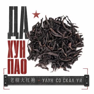 Эхо республики · 大红袍