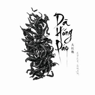 Тушь и асимметрия · 大红袍