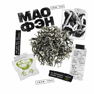 Архивный коллаж · 云南绿茶